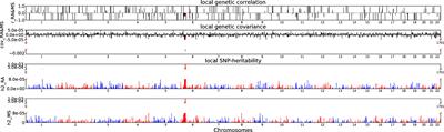 Identifying shared genetic loci and common risk genes of rheumatoid arthritis associated with three autoimmune diseases based on large-scale cross-trait genome-wide association studies